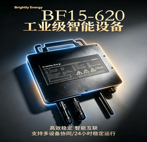 600W 光伏微型逆变器一拖二